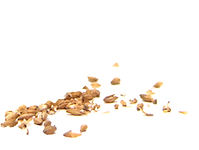 Vodka, Gin, & Whisky | Revelstoke | Jones Distilling The Products